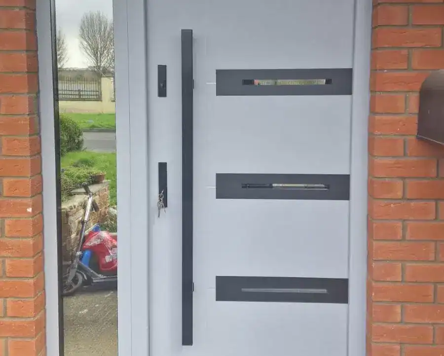 Steel door model 39a Product line: Optimum Termo | Limerick | #222