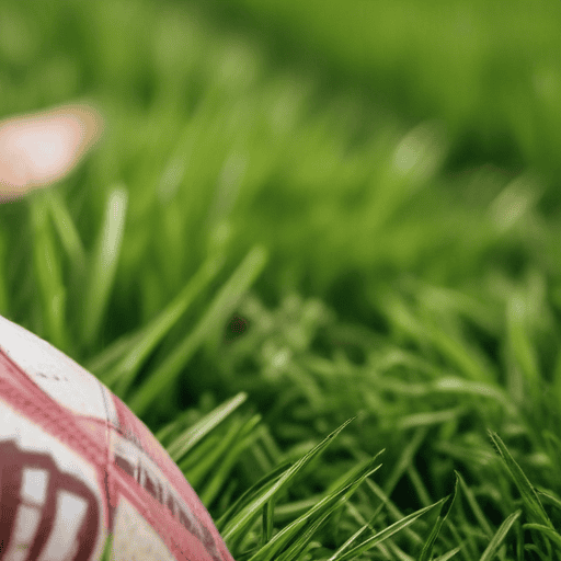 Illustration of Tuidraki tells why he didn’t play