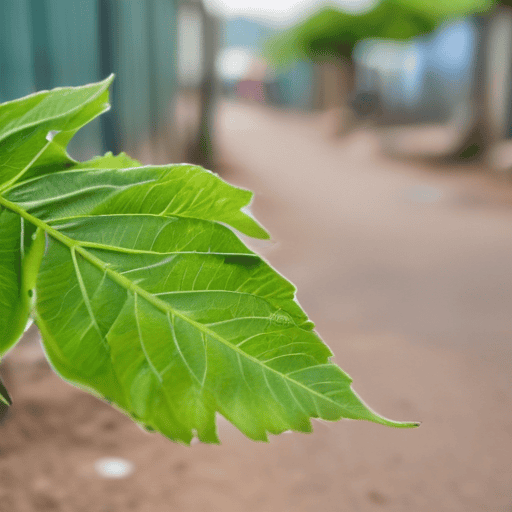 Fiji's Bold Move: Revamping Informal Settlement Policies for a Brighter Future