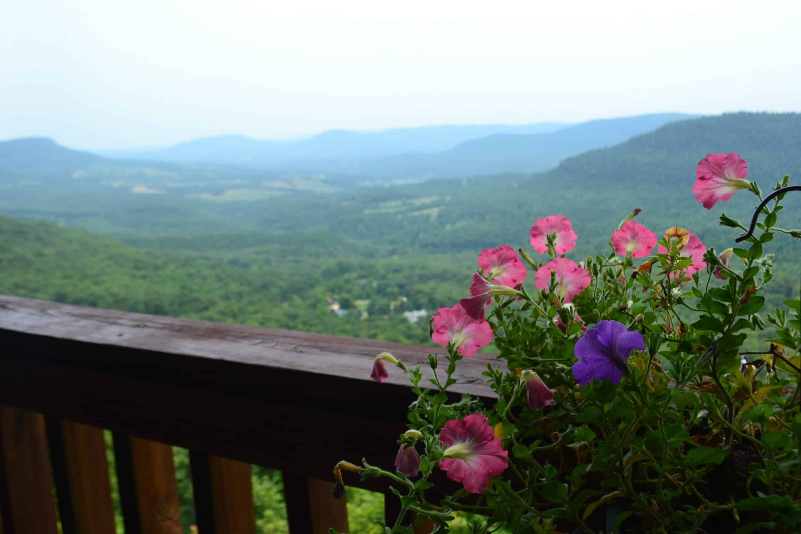 Read more about the article Arkansas, Oklahoma & Texas Itinerary