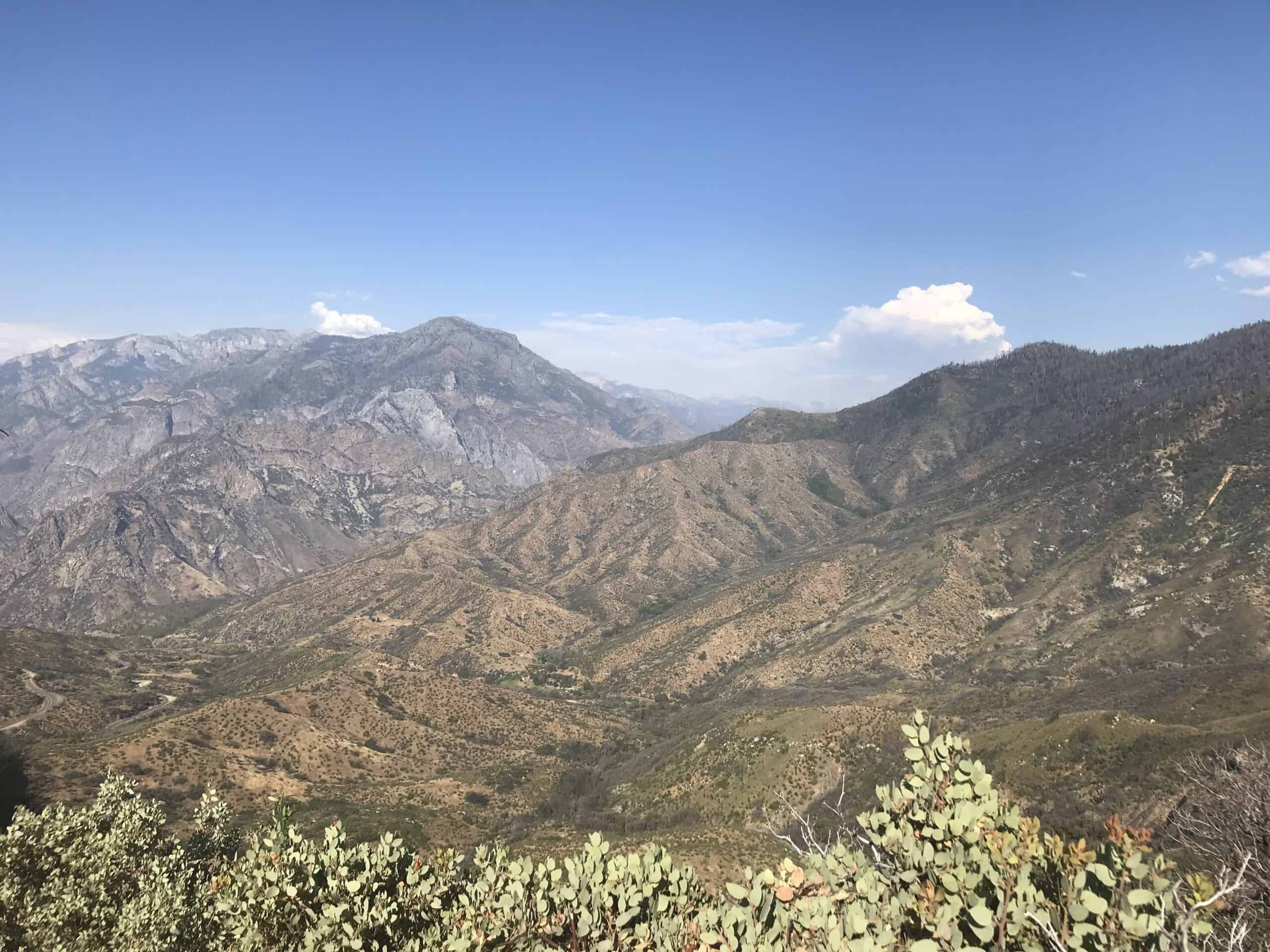 Read more about the article Kings Canyon National Park – California