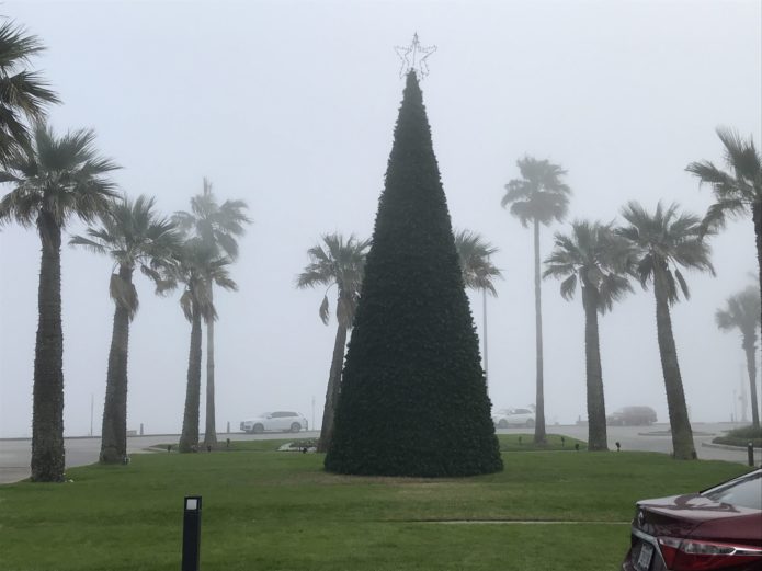 Read more about the article A Day in Galveston, TX