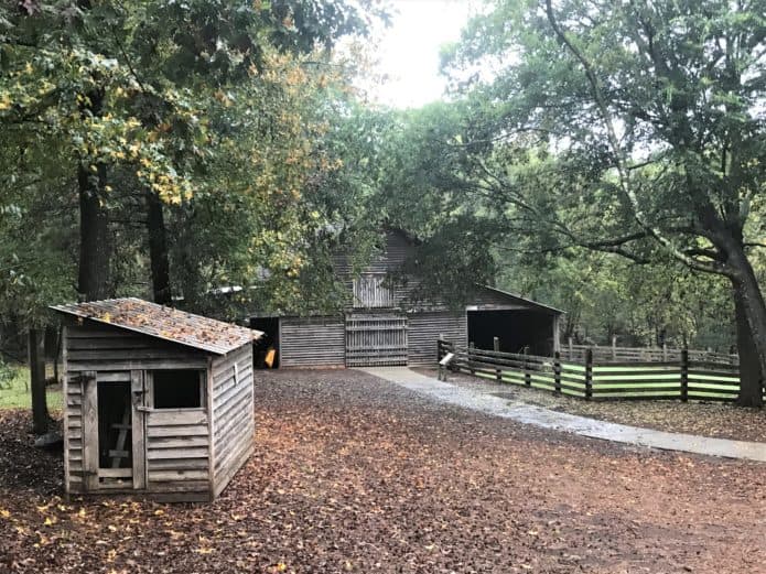 Read more about the article McDaniel Farm Park, Duluth, GA