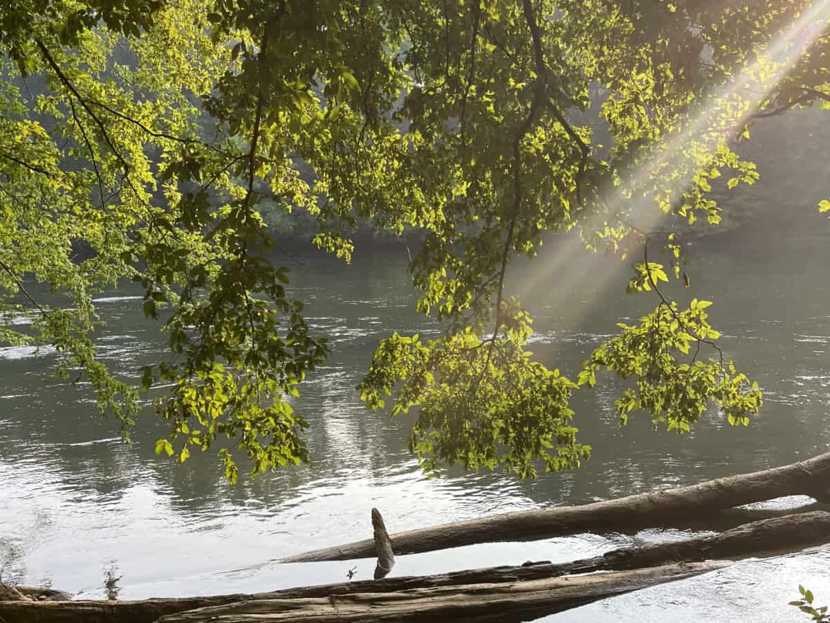 Read more about the article Cochran Shoals Unit at the Chattahoochee River – Atlanta