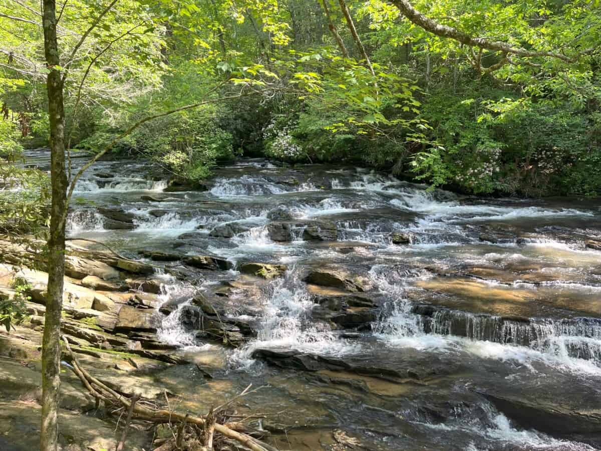 Read more about the article Tumbling Waters Nature Trail – Ellijay, GA