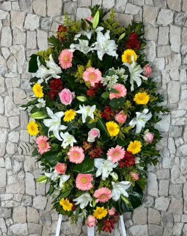 palma_baeza