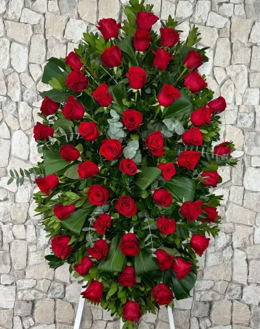 IMG_1645.webp