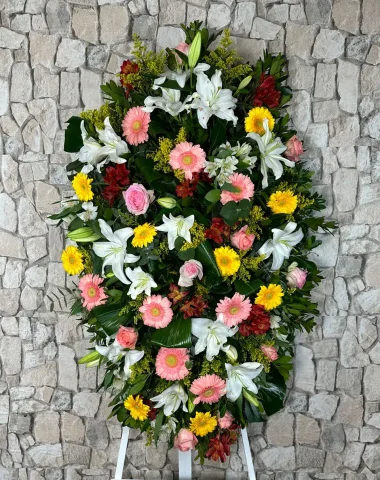 palma_baeza.webp