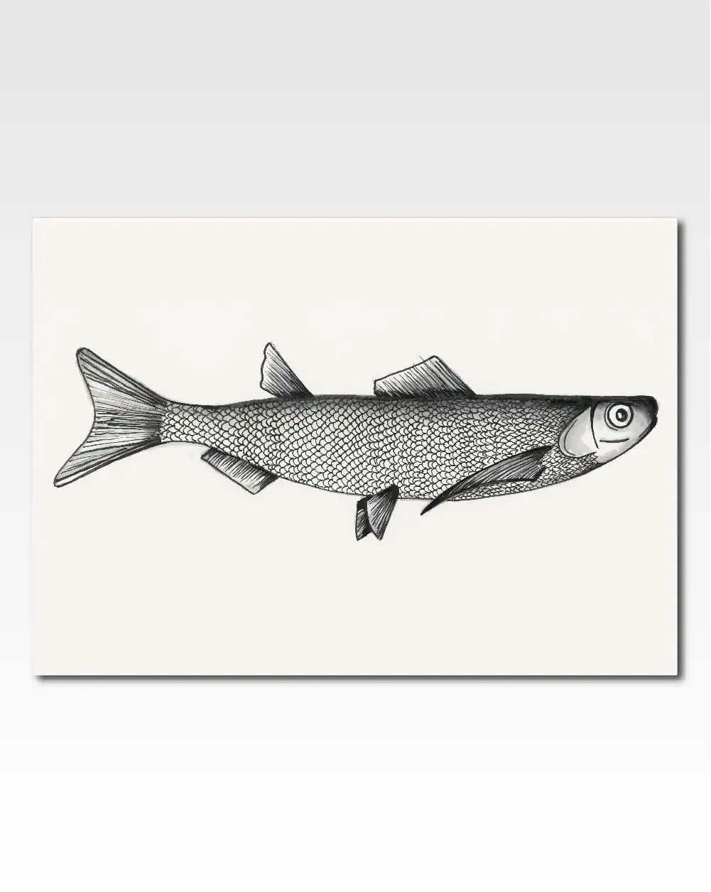 Fish in ink |  by Lulaloo.