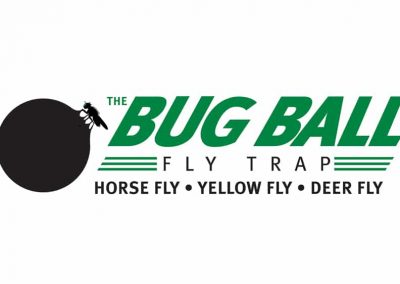 The Bug Ball