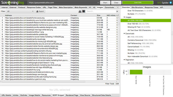 Screaming Frog SEO Spider website SEO tool