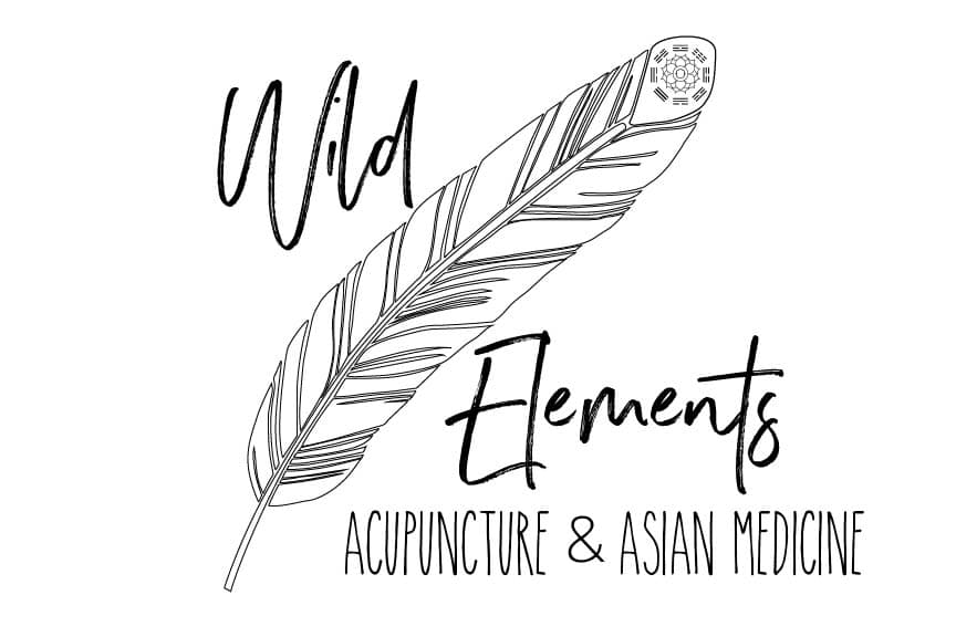 Wild Elements Logo Design