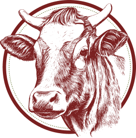 Transparenz und Kundennähe 