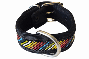 Correa para perros resistente con diseño colorido en hilo de nylon y hebilla metálica para ajuste y seguridad. Ideal para mascotas activas y de tamaño mediano a grande.