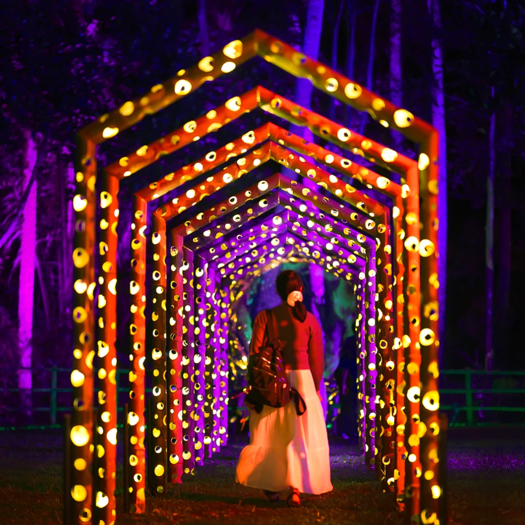 hikaria beyond the paradise