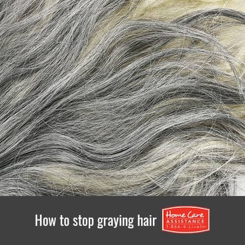 Gray hair and the genetics of aging
