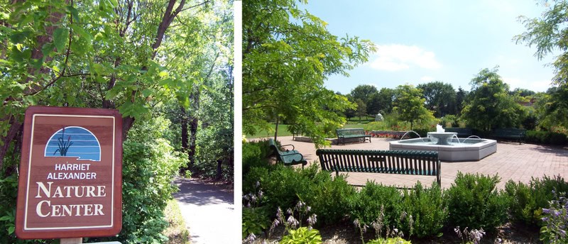 Roseville-park-arboretum