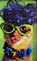 BeataCAT2r