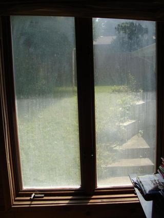 Fogged Window