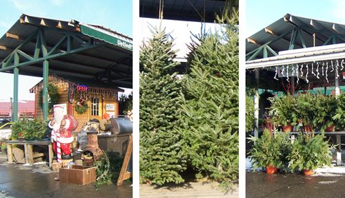 Farmersmarket-xmas2