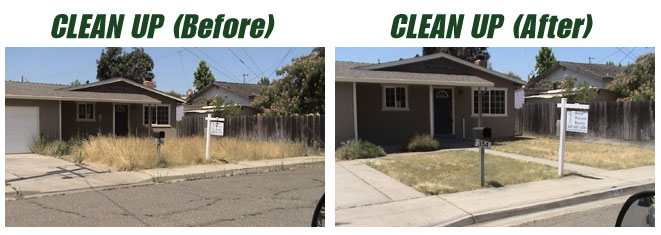 Clean-up-before-after