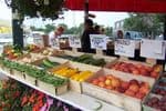 Sweet Corn and More
