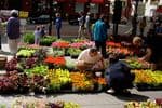 St. Paul Farmers Market