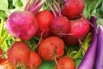 Mill City Farmers Market