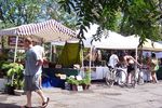 Uptown Market