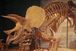 Science Museum of Minnesota