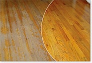 Nhancefloor