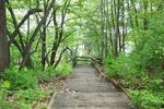 Parks-westwood nature center