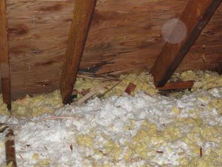 Delaminated Plywood 2