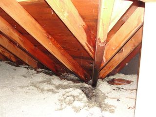 Wet Insulation