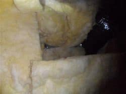 Poorly installed fiberglass batts 2
