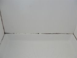 Moldy caulk in shower