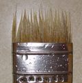 Disintegrated paint brush bristles