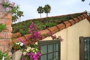 Green roof