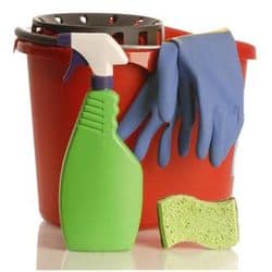 Cleaning1