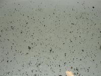 Whirlpool Gunk