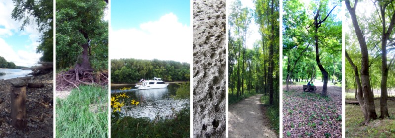 Pike island 7