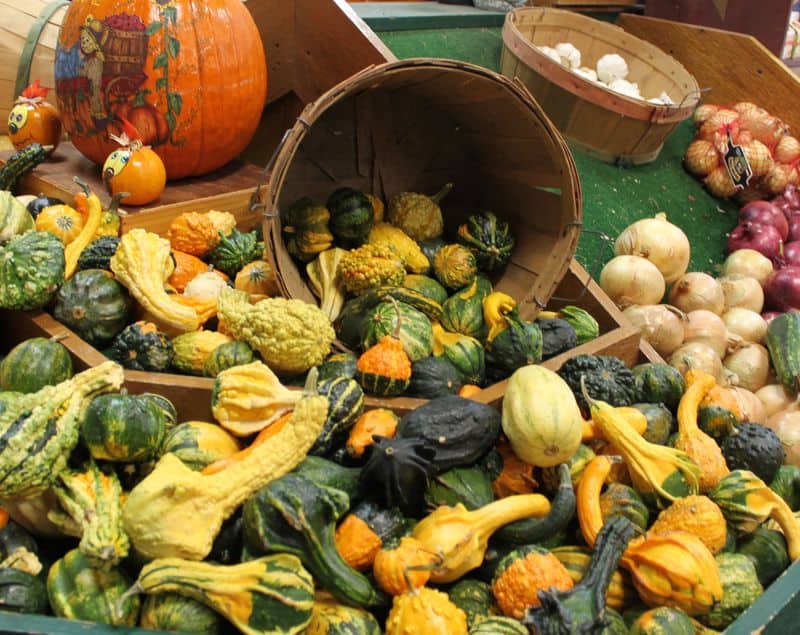 Bountiful harvest