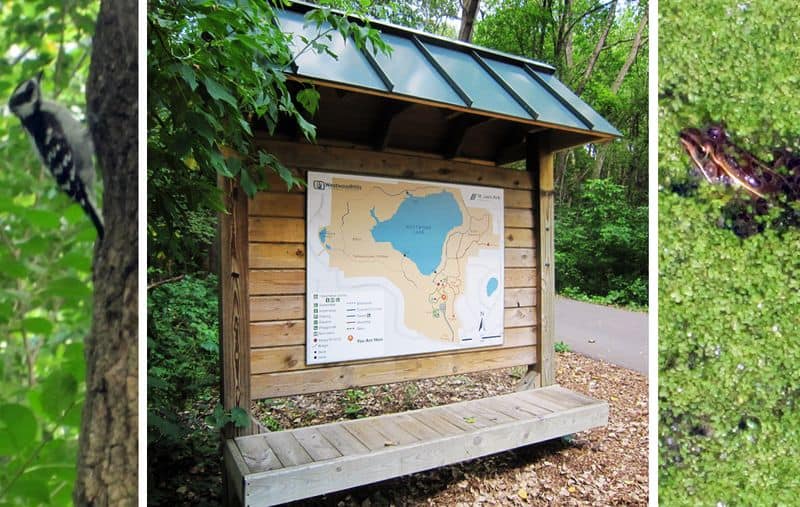 Westwood hills nature center1