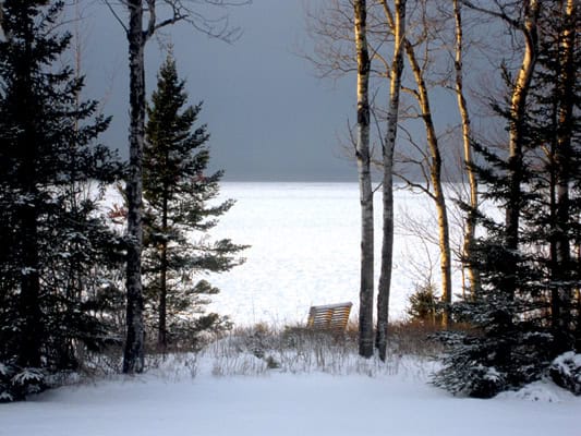 Bark point-winter1-400