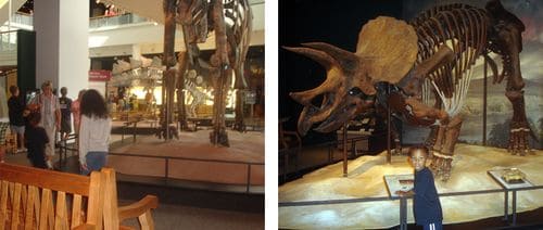 Sciencemus3
