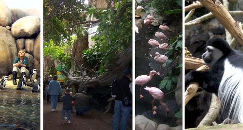 Zoo-nov11-inside