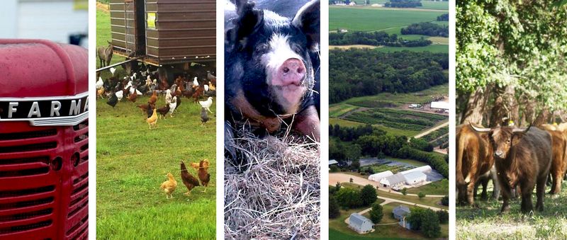 WiseacreFarm