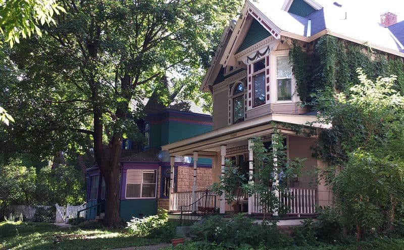 Fair oaks-painted lady