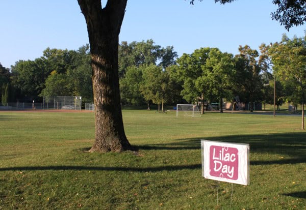 Golden valley-lilac day