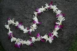 Hawian orchid lei - free